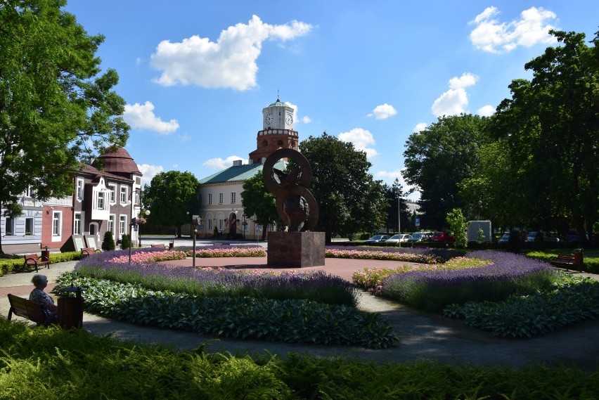 Pomnik "Wieczna Miłość" otoczony lawendą i kwiatami wygląda wyjątkowo pięknie ZDJĘCIA