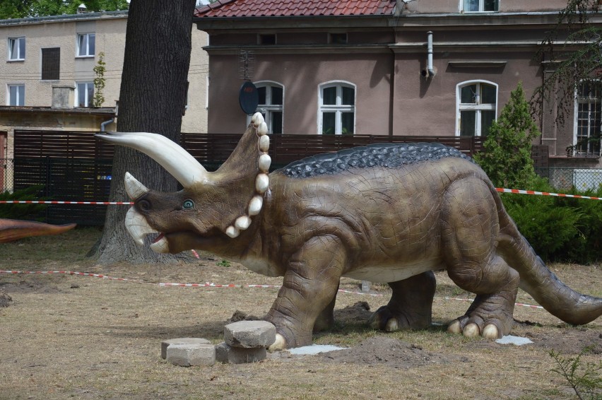 Paleopark w Szprotawie