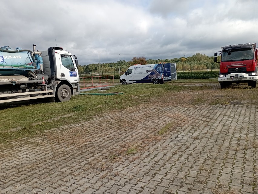 Skierniewice. Strażacy ratowali uwięzionego w studni bobra. Zwierzę trafiło nad Rawkę