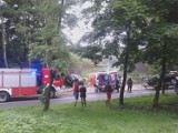 W Wałbrzychu przy ul. Kosteckiego doszło do wypadku