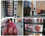 Wrocław: Kup ziemniaki w automacie! Na Popowicach powstał pierwszy "ziemniakomat" [ZDJĘCIA]