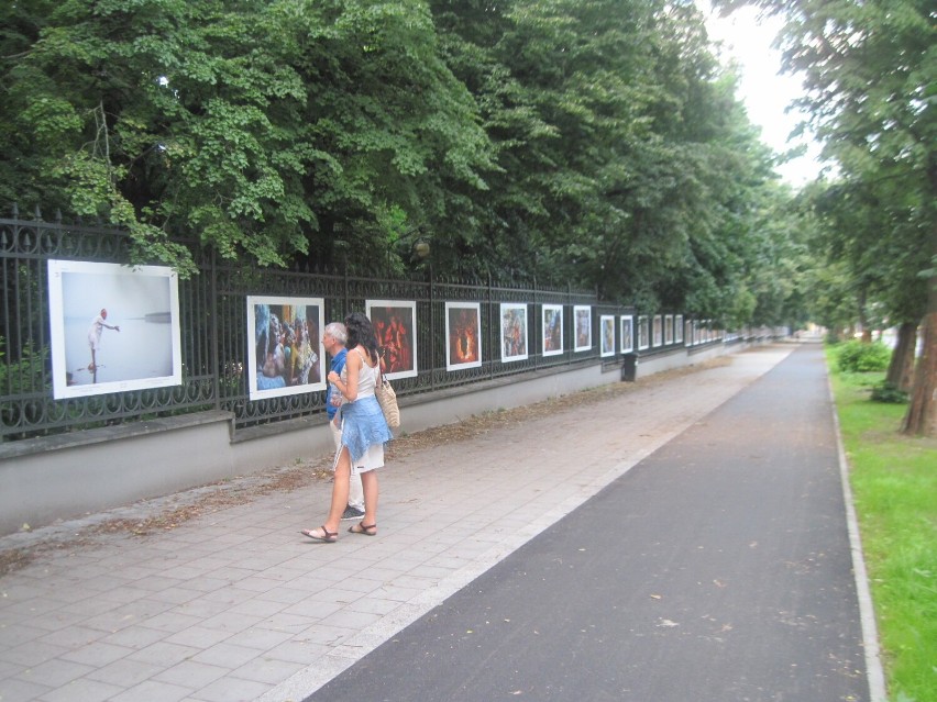 Galeria Saska w Lublinie zaprasza na atrakcyjną wystawę na świeżym powietrzu 