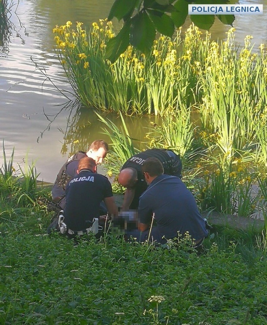 Mężczyzna topił się w Kozim Stawie w Legnicy! Życie uratowali mu policjanci