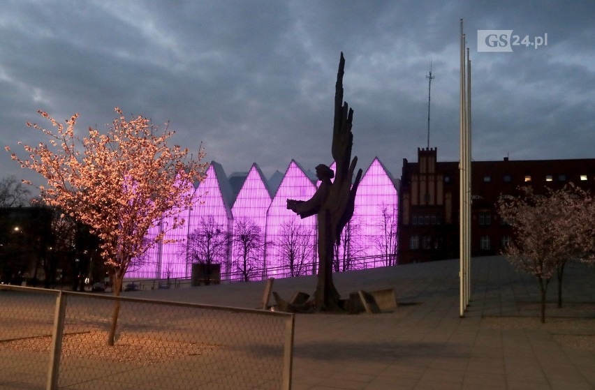 Purple Day. Szczecińska filharmonia zaświeciła na fioletowo. Zobacz zdjęcia