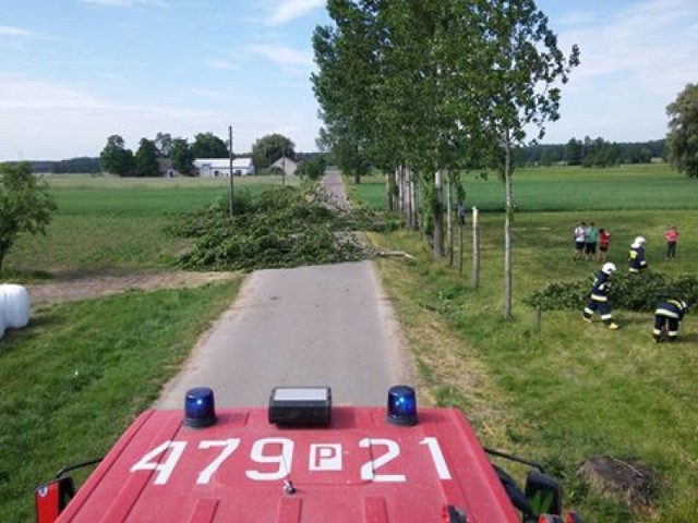 Powalone drzewa uszkodziły linię energetyczną