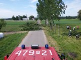 Gmina Grzegorzew: Strażacy usuwali powalone drzewa [ZDJĘCIA]
