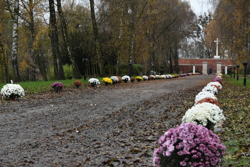 Zamość: pomniki i miejsca pamięci przyozdobione chryzantemami