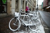 Kraków. Seryjny złodziej rowerów schwytany. Grozi mu 5 lat więzienia