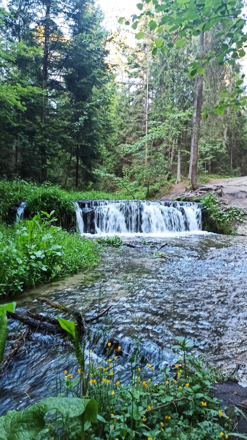Szumy nad Tanwią. Magiczne wodospady w województwie lubelskim. Zobacz zdjęcia 