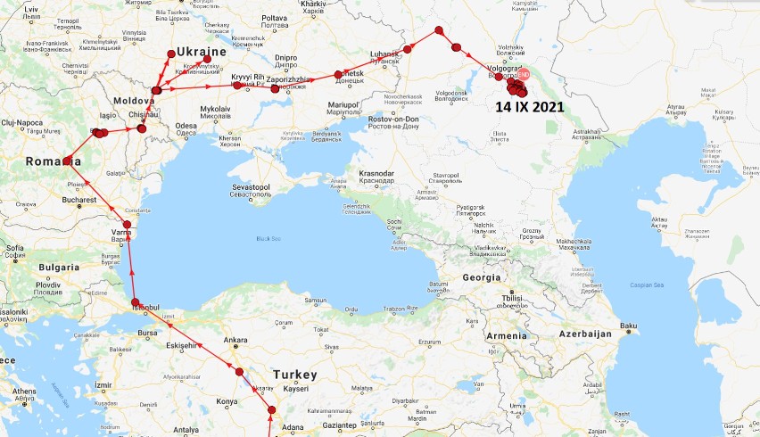 Bociany czarne z lasów w Łódzkiem w drodze do Afryki. Gdzie już dotarły? Oznakowane ptaki wybrały różne trasy przelotów. Tempo też ZDJĘCIA