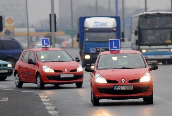 Auta nauki jazdy często jeżdżą "stadami"