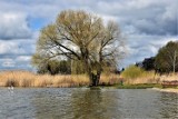 Zbąszyń - miasto nad jeziorem. Tu błękit nieba z błękitem wody się łączy. Zobacz jak tu pięknie! [Zdjęcia]