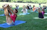 Kilkadziesiąt osób ćwiczyło jogę na Jasnych Błoniach [wideo]