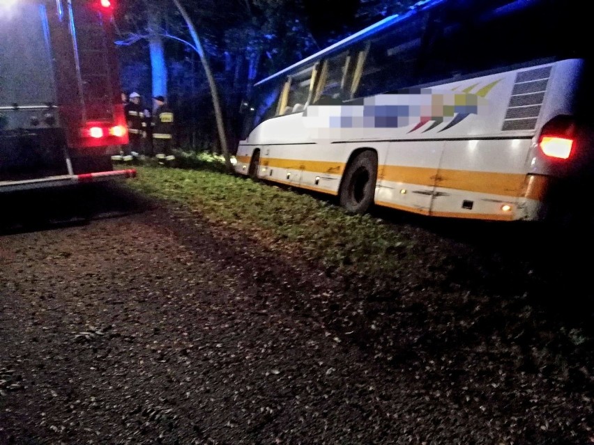 Groźny wypadek pod Strzelinem: autobus wypadł z drogi i uderzył w drzewo (ZDJĘCIA)