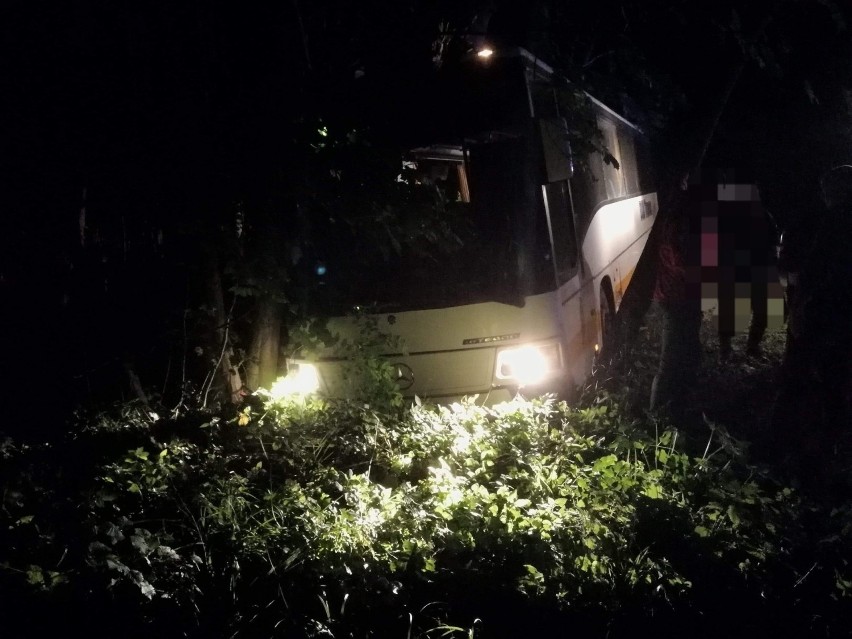 Groźny wypadek pod Strzelinem: autobus wypadł z drogi i uderzył w drzewo (ZDJĘCIA)