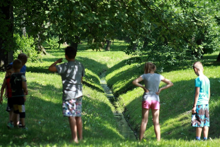 Prognoza pogody na wakacje i lato 2018