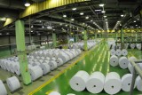 Kwidzyn: International Paper przebuduje maszynę do produkcji tektur powlekanych