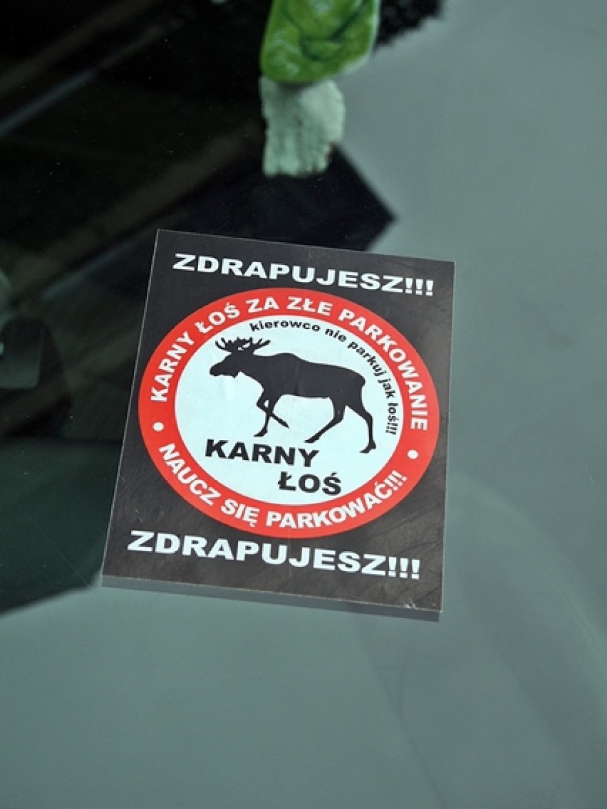 Chamskie parkowanie w Stargardzie nr 83. Ul. Skarbowa. Wezwanie od policji i karny łoś na szybie