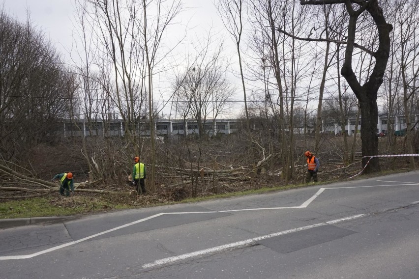 Koalicja ZaZieleń wskazywała, że projekt budowy parku...