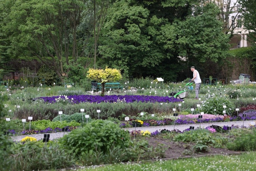 Ogród Botaniczny UJ to "żywe muzeum" flory świata