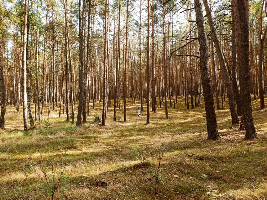 Zdjęcia Czytelników