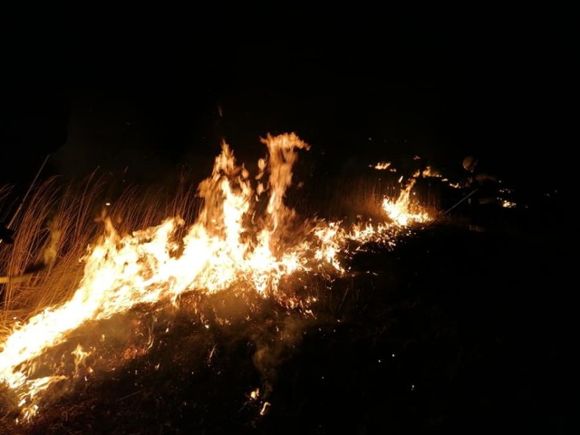 Druhowie z Krygu walczyli z płonącą łąką. Ogień strawił około pół hektara nieużytków