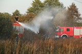 Ogromny pożar niedaleko Stabłowic. Paliło się 30 hektarów 