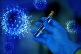 Kwidzyn. Poniedziałkowy raport ministerstwa zdrowia mówi o 18 zakażeniach wirusem SARS-CoV-2 w powiecie kwidzyńskim