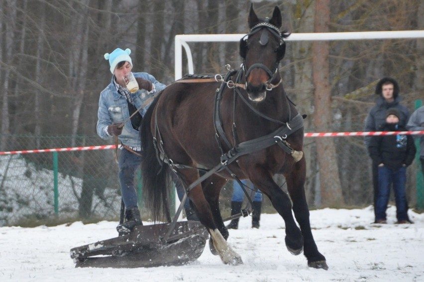 X Mistrzostwa Kaszub w Powożeniu na Szlópie "Kaszebsko...