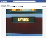 Znalezione na facebooku: W PKP nie potrafią poprawnie napisać &quot;Żywiec&quot;?