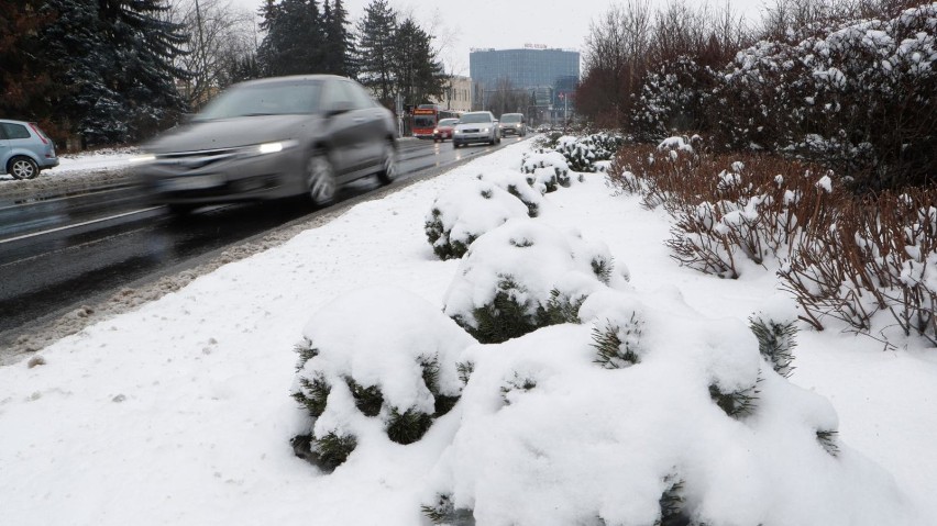 Kiedy spadnie śnieg w Polsce? Długoterminowa prognoza pogody...