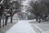 Kiedy spadnie śnieg w Polsce? Długoterminowa prognoza pogody na zimę