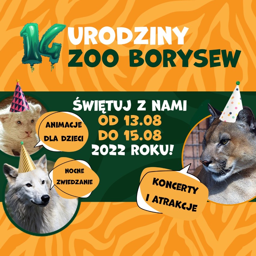 14. urodziny Zoo Borysew w długi weekend 13-15 sierpnia. Będzie wiele atrakcji, w tym nocne zwiedzanie ZDJĘCIA, PLAKATY