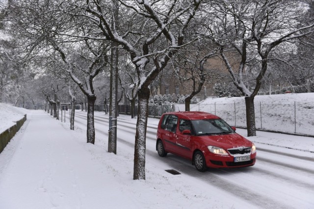 Zima znów zaatakowała w Toruniu. Od rana w mieście pada śnieg. Miejscami spadło nawet 5 centymetrów białego puchu. Zobaczcie Toruń na zdjęciach w zimowej odsłonie! To już kolejne opady tej zimy.