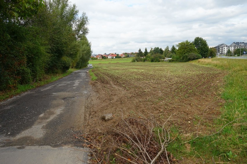 Nowa droga ze Słociny do centrum Rzeszowa pobiegnie przez ogródki działkowe? Czytelniczka: 90 proc. drogi będzie tworzona z ogródków