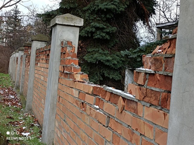 Mur cmentarza żydowskiego w Toruniu jest w fatalnym stanie. Cegły, z których został zbudowany, po prostu się rozpadają.