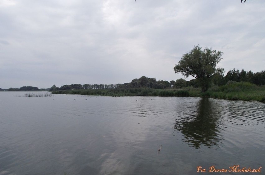 Jezioro Błędno w Zbąszyniu od rana do wieczora - galeria