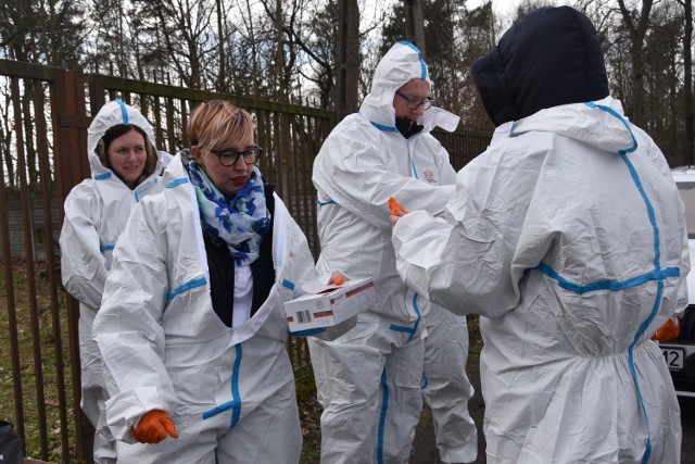 Powiatowa inspektor weterynarii i wojewoda podczas wizytacji chłodni w Gościeszynie, gdzie trafiają odstrzelone dziki