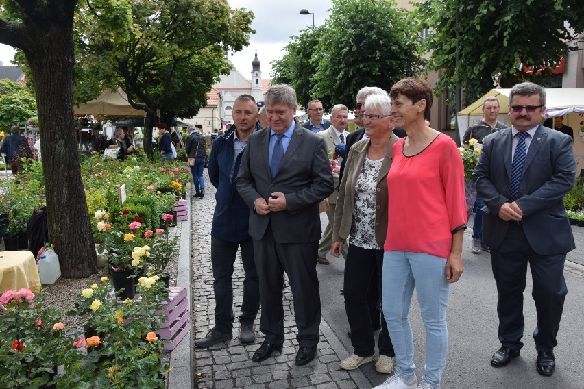 Tak było podczas Festiwalu Róż w 2017 roku