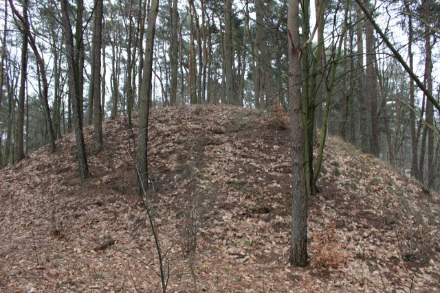 Pozostałości ziemne zamku rycerskiego w Jeleniu.