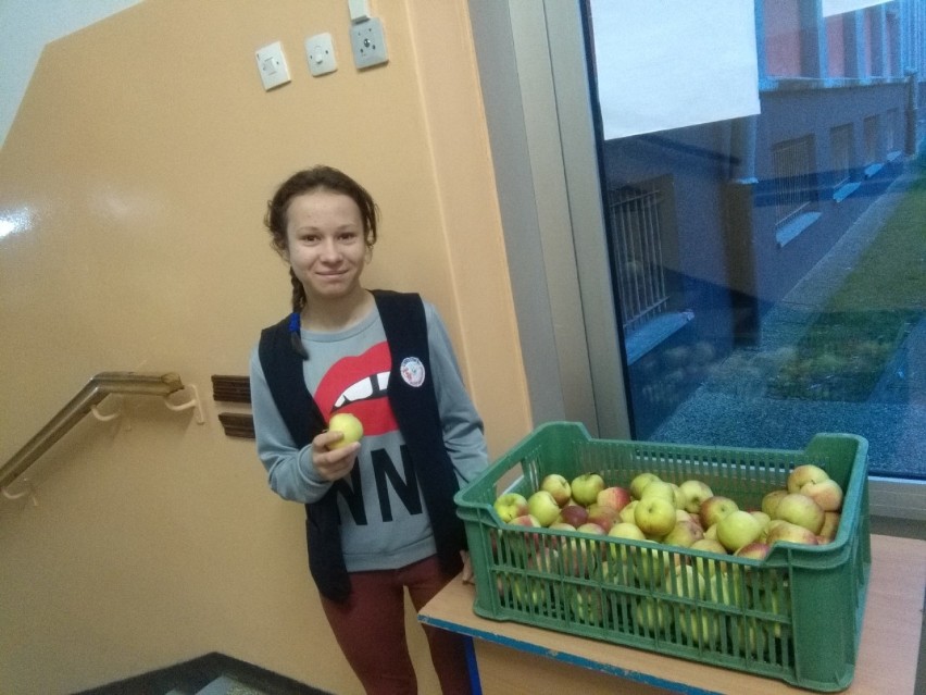"Z jabłkiem w tle" w Gimnazjum nr 3. Szkoła współpracuje z Agencją Rynku Rolnego
