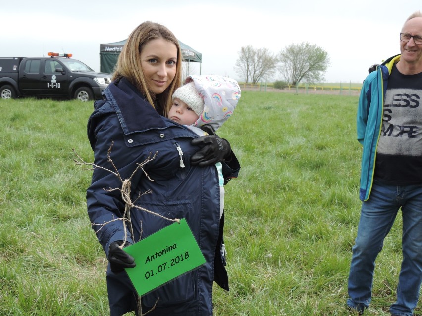 Człuchów. Druga odsłona akcji "Jedno dziecko - jedno drzewko".  Zapisy już trwają