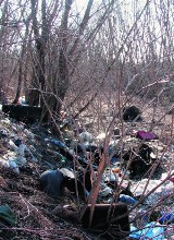 Nasz ekologiczny patrol - obwodnica czechowicka to jedno wielkie wysypisko śmieci