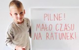 Dawid z Zielonej Góry wymaga pilnej operacji serca w amerykańskiej klinice! Koledzy z przedszkola robią co mogą, by zebrać pieniądze