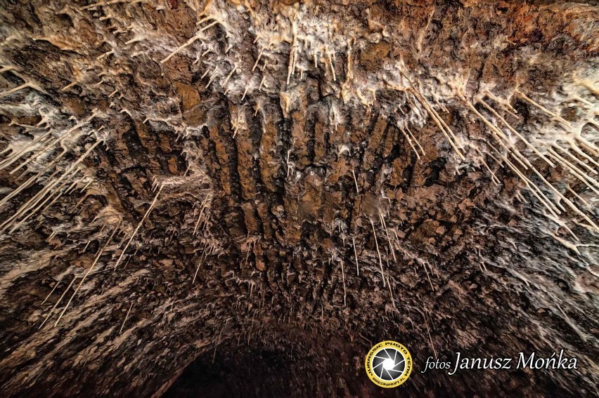 Stalaktyty i stalagmity w Porębie