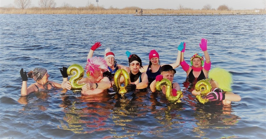 Udane, noworoczne morsowanie Chełmskich Morsów nad zalewem Żółtańce. Zobacz zdjęcia