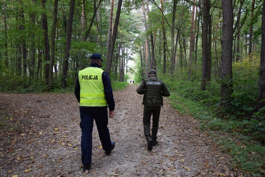 Wspólne patrole policji i straży leśnej odbywają się w...