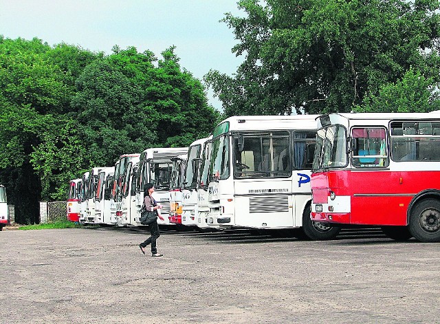 Do przetargu na komunikację przystąpi na pewno myszkowski PKS