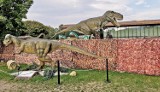 Kraków. Gigantyczne, poruszające się dinozaury przed Halą Cracovii [ZDJĘCIA]