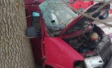Wypadek w Rudniku koło Będkowa. Bus uderzył w drzewo [ZDJĘCIA]